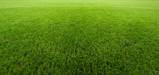 ordentlich üppiger fußballplatz nahaufnahme - soccer field soccer grass green stock-fotos und bilder