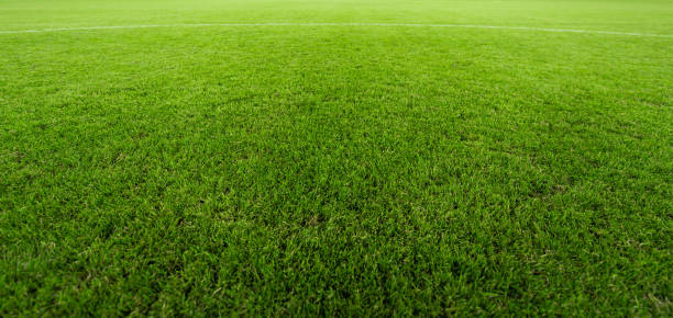 zadbane bujne boisko do piłki nożnej z bliska - soccer field soccer grass green zdjęcia i obrazy z banku zdjęć