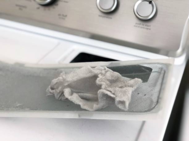 istock Lint, dust, dirt on dryer trap screen 1086175604
