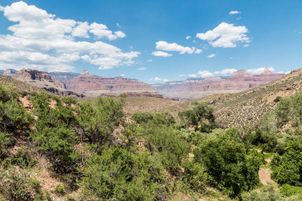 istock Grand Canyon Landscape 1086179324