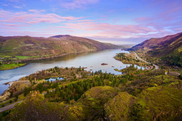 columbia river von rowena crest sicht oregon-usa - mt hood national park stock-fotos und bilder