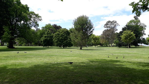 istock Some of the park, view in peace 1086185146