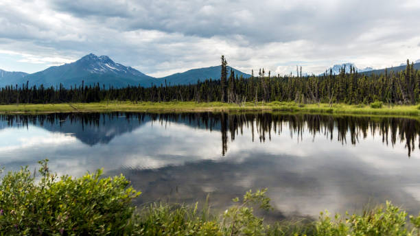 istock Landscape of Wrangell-St. Elias 1086195424