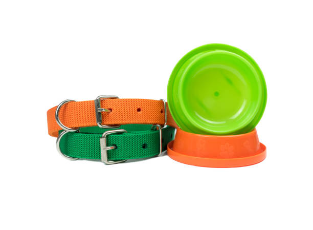 Pet supplies concept. Pet bowls and collar on isolated white Pet supplies concept. Pet bowls and collar on isolated white dog collar silicone case stock pictures, royalty-free photos & images