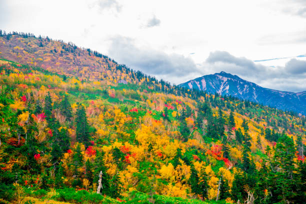 istock Mountain view of Tateyama in Toyama, Japan 1086204792