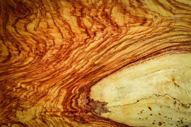 istock Wood structure texture background / beautiful wooden pattern abstract - Surface orange brown texture wood wall for background 1086223702