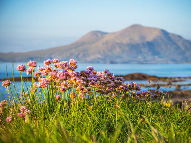 istock Mount Mweelrea near Connemara in Donegal County 1086225906