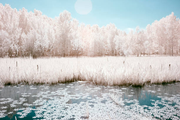 istock Landscape Infrared Photo 1086230304