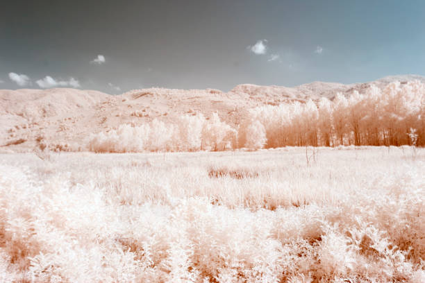 istock Landscape Infrared Photo 1086231552