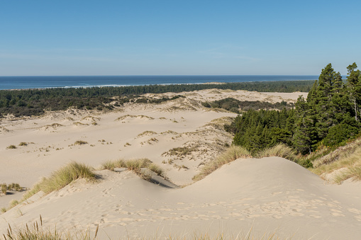Views of the sand and coastline from a high point of view over the Oregon dunes, USA
