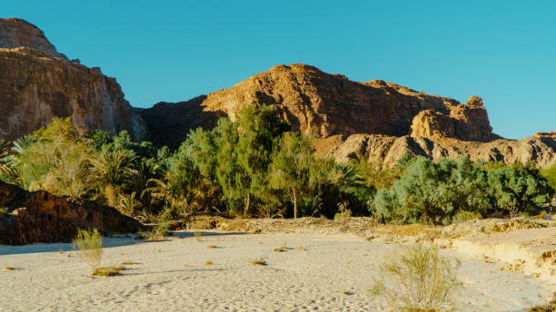 istock Egypt texture colored canyon in Sunny weather. 1086241364