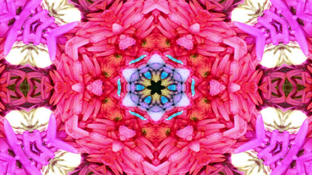 istock Flowers Flora Kaleidoscope 1086253092