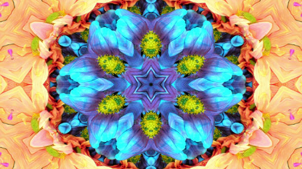 istock Flowers Flora Kaleidoscope 1086253096