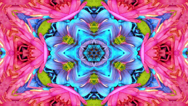 istock Flowers Flora Kaleidoscope 1086253098
