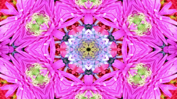 istock Flowers Flora Kaleidoscope 1086253114