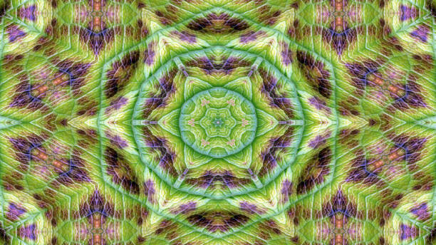 istock Flowers Flora Kaleidoscope 1086254404