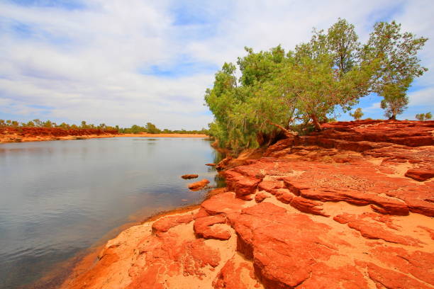 Gascoyne River in Western Australia stock photo