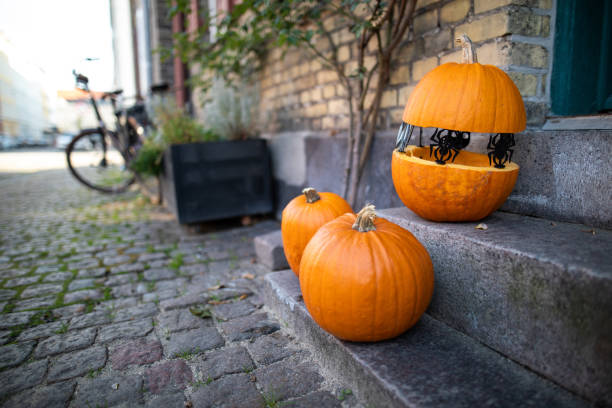 istock Halloween pumkins front of home 1086257062