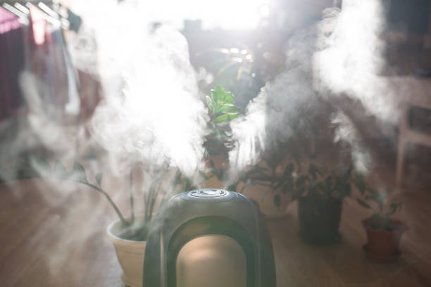 istock Useful device for health. Humidifier. 1086259222
