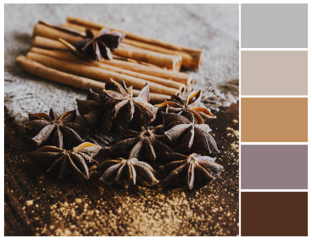 istock Star anise and cinnamon palette. 1086261638
