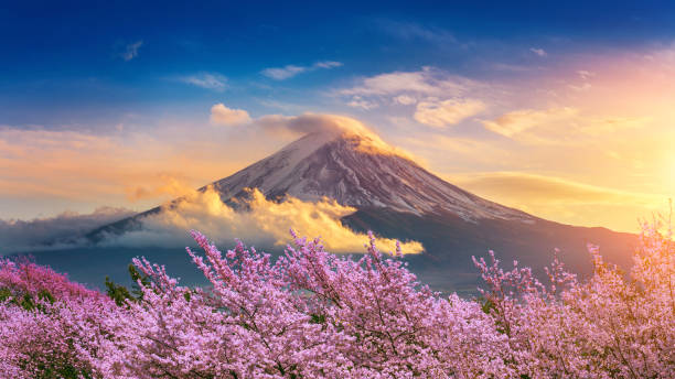 monte fuji y cerezos en flor en primavera, japón. - mountain mountain peak snow spring fotografías e imágenes de stock