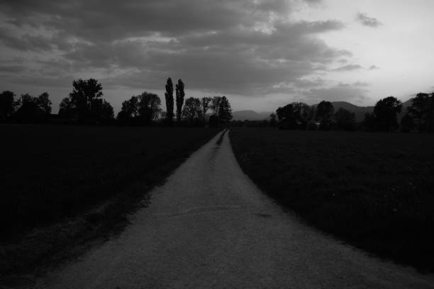Landscape Shot