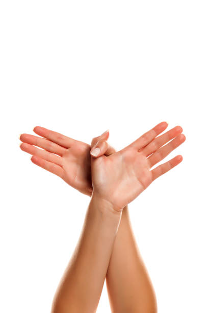 istock crossed female hands  forming an bird isolated on white background 1086277696