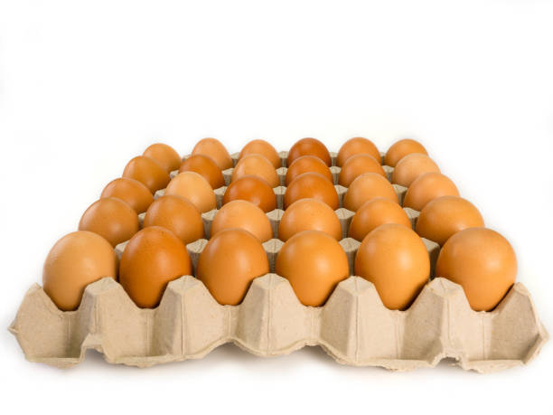 istock Brown chicken eggs in carton box. 1086300386
