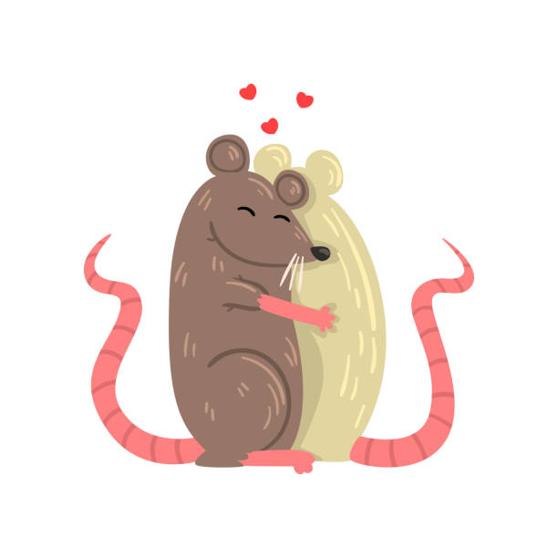Ilustración de Pareja De Ratones Enamorados Abrazándose Uno Al Otro Dos Animales Felizes Abrazando A Vector Ilustración Sobre Un Fondo Blanco y más Vectores Libres de Derechos de Abrazar - iStock Ilustración de Pareja De Ratones Enamorados Abrazándose Uno Al Otro Dos Animales Felizes Abrazando A Vector Ilustración Sobre Un Fondo Blanco y más Vectores Libres de Derechos de Abrazar - iStock