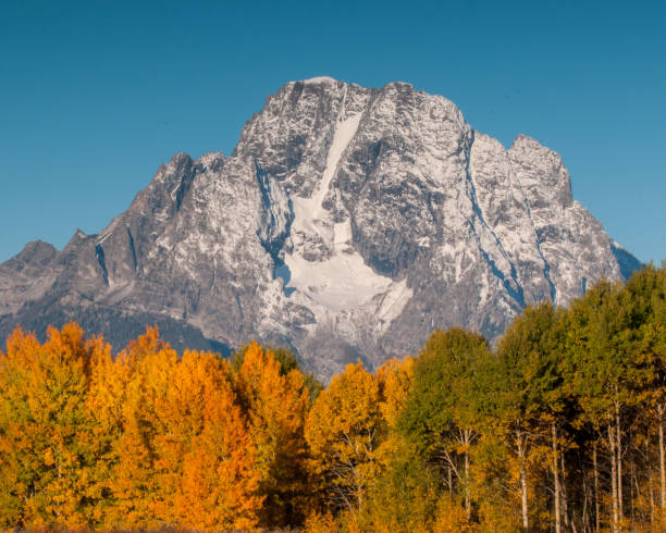 istock Autumn leaves and the Teton Range 1086303346