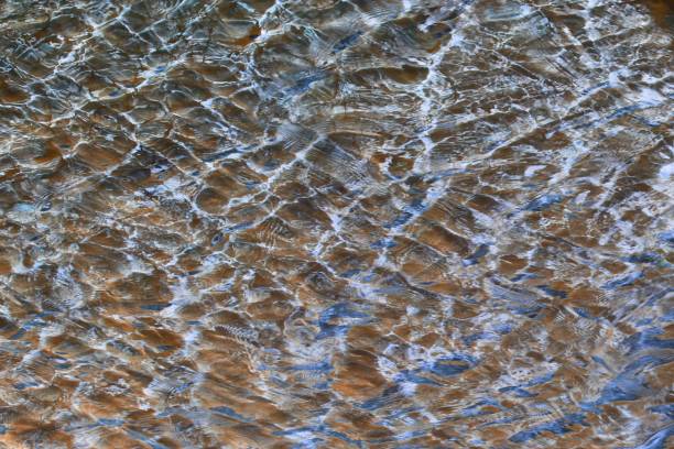 istock grunge bright lake water texture - pretty abstract photo background 1086304098