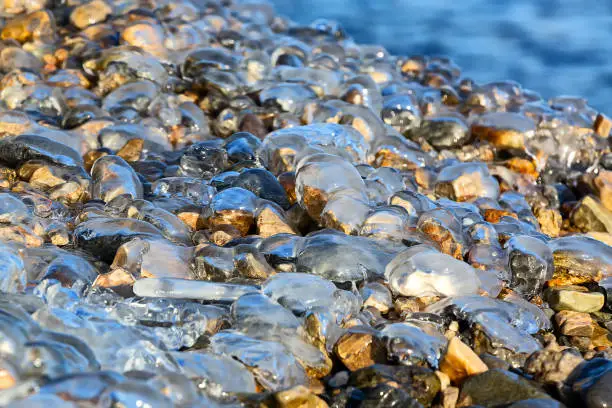 Photo of Stones on the shore covered with transparent ice