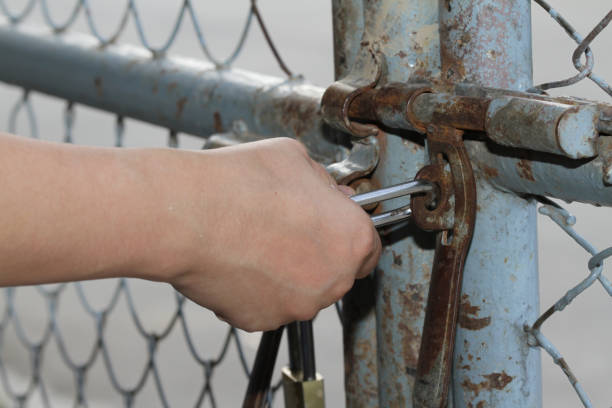 istock she catch a lock want to outside. 1086308232