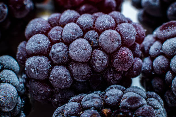 istock Isolated frozen blackberry with raspberry - macro 1086312240