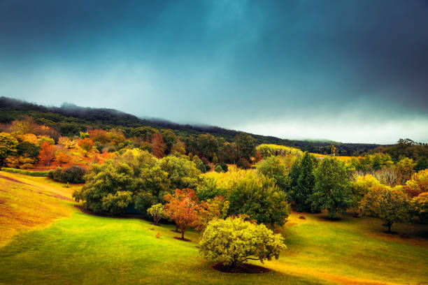 Autumn in Adelaide Hills