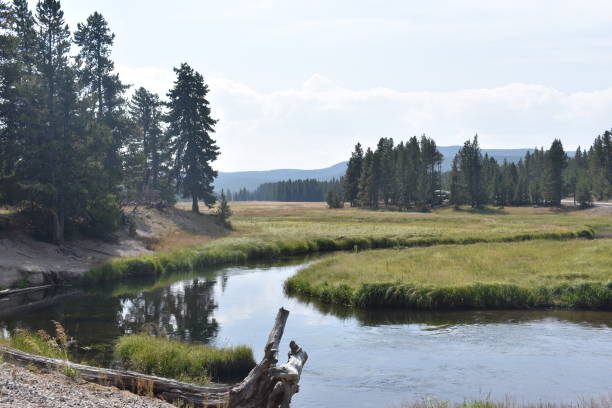 istock Yellowstone National Park 1086319440
