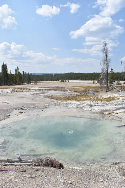 istock Yellowstone National Park 1086321284