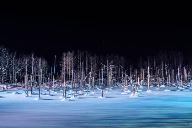 istock Biei pond, Hokkaido, Japan 1086329118