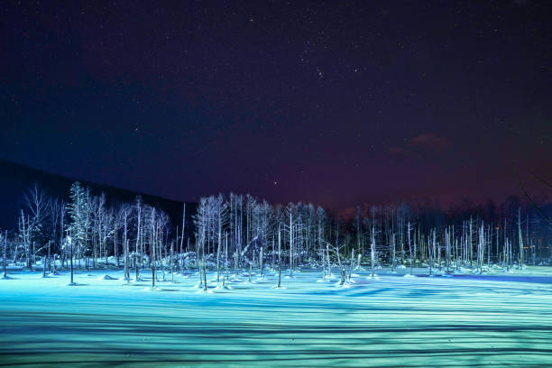 istock Shirogane blue pond light up in the winter 1086329366
