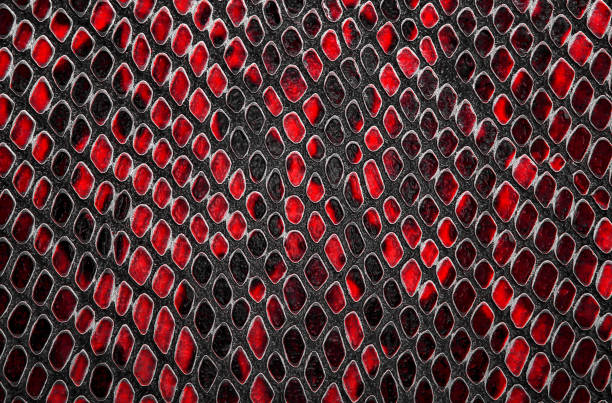 istock Red snake skin background 1086329616