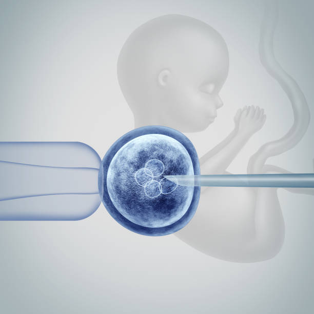 Gene Editing Science Gene editing science in vitro genetic CRISPR genome engineering medical biotechnology health care concept with a fertilized human egg embryo and a group of dividing cells with a fetus with 3D illustration elements. crispr stock pictures, royalty-free photos & images