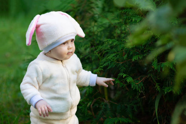 niño en traje de conejo caminando en bosque - rabbit baby rabbit hare standing fotografías e imágenes de stock