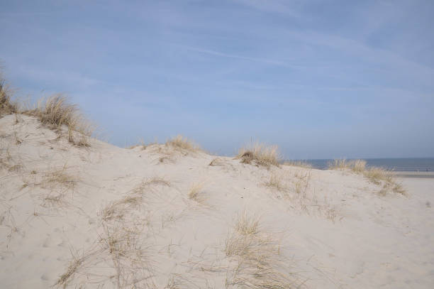 sundown on the island of langeoog