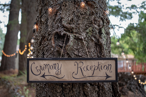 A handmade sign on a redwood tree directing wedding guests to the ceremony and reception