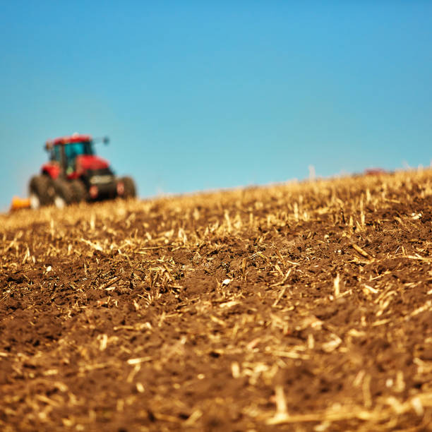istock Agricultural Landscape. Tractor working on the field. 1086339672