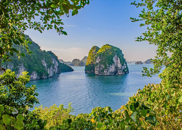 a view across halong bay, vietnam, from within thien cahn son cave - halong bay vietnam bay cruise imagens e fotografias de stock
