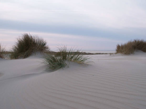 istock borkum beach in the north sea 1086345788