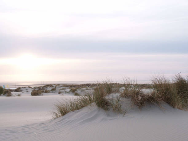 istock borkum beach in the north sea 1086345848