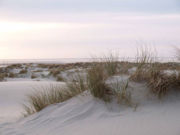 istock borkum beach in the north sea 1086345850