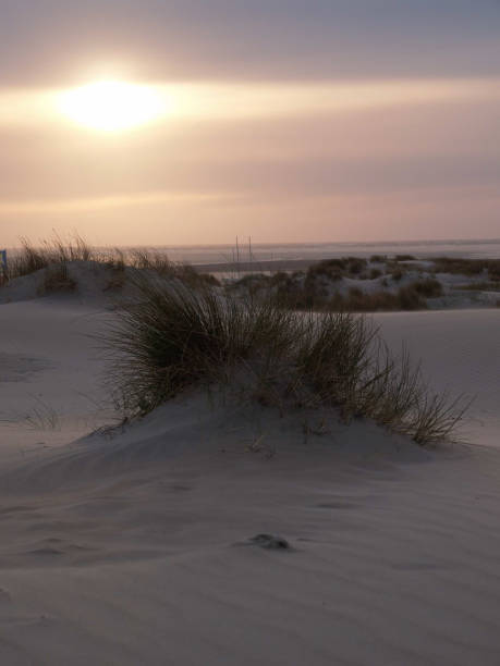 istock borkum beach in the north sea 1086345880